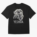 ILUSTRACI¨®N DE LE¨®N CRISTALIZADO YESHUA Oversized T-Shirt Join the Countdown to FIFA World Cup 2026 USA Canada Mexico Spirit, Filled with France, Mbappe and Neymar, Game Day Rituals, Football Legends, Country Pride and the Road to the Final;